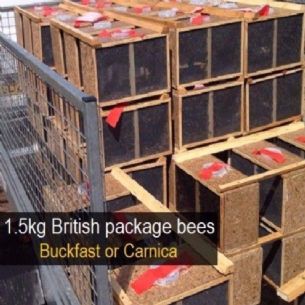 3lb Package Of British Bees with Mated Queen 2016
